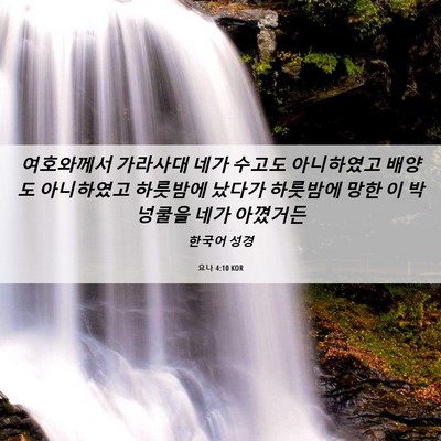 Picture 06 - 요나 4:10 KOR - 여호와께서 가라사대 네가 수고도 - Bible Verse Picture