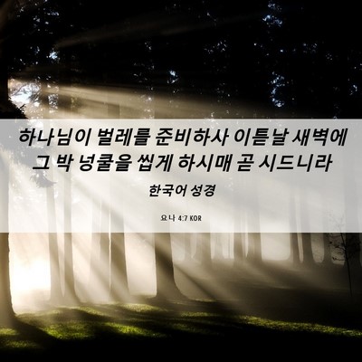 Picture 06 - 요나 4:7 KOR - 하나님이 벌레를 준비하사 이튿날 - Bible Verse Picture