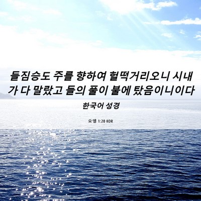 Picture 06 - 요엘 1:20 KOR - 들짐승도 주를 향하여 헐떡거리오니 - Bible Verse Picture