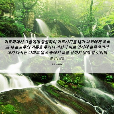 Picture 06 - 요엘 2:19 KOR - 여호와께서 그들에게 응답하여 - Bible Verse Picture