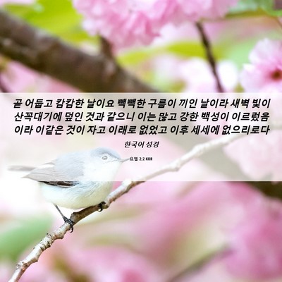 Picture 06 - 요엘 2:2 KOR - 곧 어둡고 캄캄한 날이요 빽빽한 - Bible Verse Picture