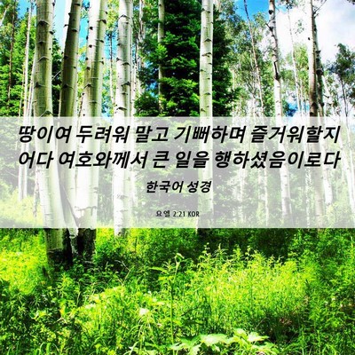 Picture 06 - 요엘 2:21 KOR - 땅이여 두려워 말고 기뻐하며 - Bible Verse Picture