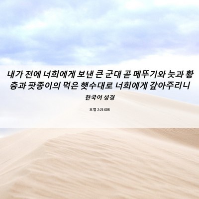 Picture 06 - 요엘 2:25 KOR - 내가 전에 너희에게 보낸 큰 군대 곧 - Bible Verse Picture