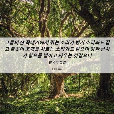 Picture 06 - 요엘 2:5 KOR - 그들의 산 꼭대기에서 뛰는 소리가 - Bible Verse Picture