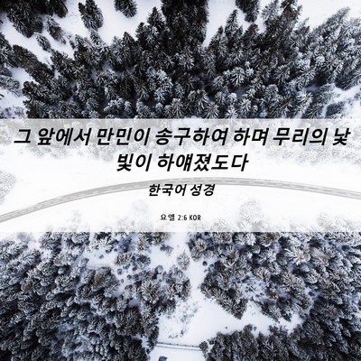 Picture 06 - 요엘 2:6 KOR - 그 앞에서 만민이 송구하여 하며 - Bible Verse Picture