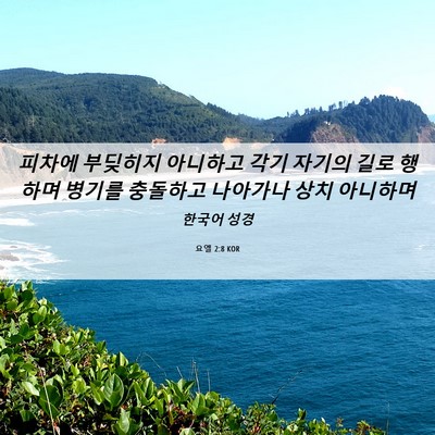Picture 06 - 요엘 2:8 KOR - 피차에 부딪히지 아니하고 각기 - Bible Verse Picture