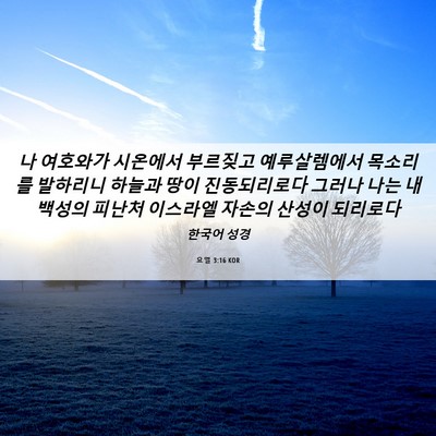 Picture 06 - 요엘 3:16 KOR - 나 여호와가 시온에서 부르짖고 - Bible Verse Picture