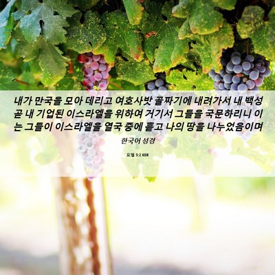 Picture 06 - 요엘 3:2 KOR - 내가 만국을 모아 데리고 여호사밧 - Bible Verse Picture