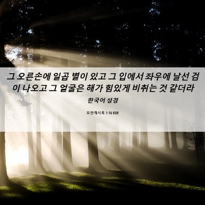 Picture 06 - 요한계시록 1:16 KOR - 그 오른손에 일곱 별이 있고 그 - Bible Verse Picture