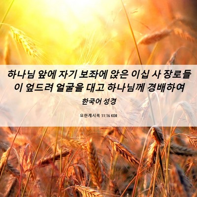 Picture 06 - 요한계시록 11:16 KOR - 하나님 앞에 자기 보좌에 앉은 이십 - Bible Verse Picture