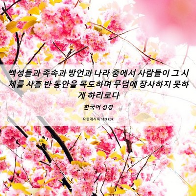 Picture 06 - 요한계시록 11:9 KOR - 백성들과 족속과 방언과 나라 중에서 - Bible Verse Picture