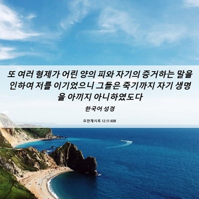 Picture 06 - 요한계시록 12:11 KOR - 또 여러 형제가 어린 양의 피와 - Bible Verse Picture