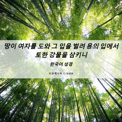Picture 06 - 요한계시록 12:16 KOR - 땅이 여자를 도와 그 입을 벌려 용의 - Bible Verse Picture
