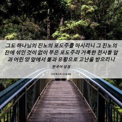Picture 06 - 요한계시록 14:10 KOR - 그도 하나님의 진노의 포도주를 - Bible Verse Picture