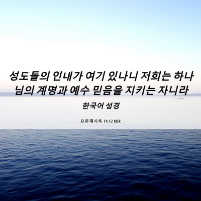 Picture 06 - 요한계시록 14:12 KOR - 성도들의 인내가 여기 있나니 저희는 - Bible Verse Picture