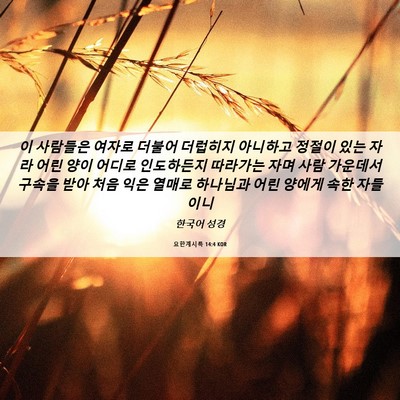 Picture 06 - 요한계시록 14:4 KOR - 이 사람들은 여자로 더불어 더럽히지 - Bible Verse Picture