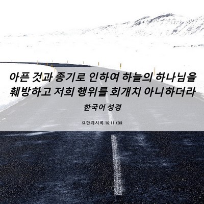Picture 06 - 요한계시록 16:11 KOR - 아픈 것과 종기로 인하여 하늘의 - Bible Verse Picture