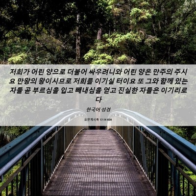 Picture 06 - 요한계시록 17:14 KOR - 저희가 어린 양으로 더불어 - Bible Verse Picture