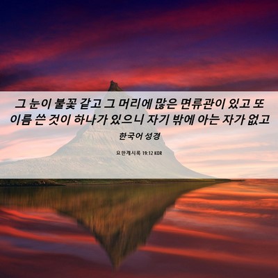 Picture 06 - 요한계시록 19:12 KOR - 그 눈이 불꽃 같고 그 머리에 많은 - Bible Verse Picture