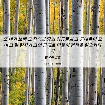 Picture 06 - 요한계시록 19:19 KOR - 또 내가 보매 그 짐승과 땅의 - Bible Verse Picture