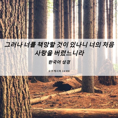Picture 06 - 요한계시록 2:4 KOR - 그러나 너를 책망할 것이 있나니 - Bible Verse Picture