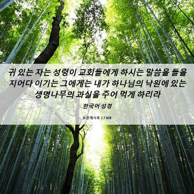 Picture 06 - 요한계시록 2:7 KOR - 귀 있는 자는 성령이 교회들에게 - Bible Verse Picture