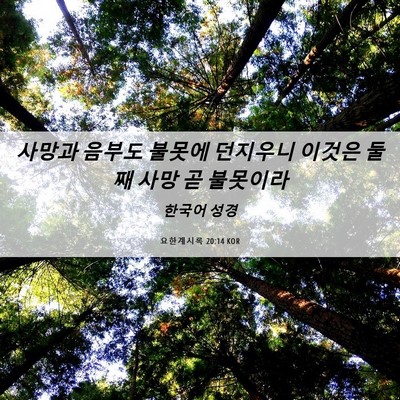 Picture 06 - 요한계시록 20:14 KOR - 사망과 음부도 불못에 던지우니 - Bible Verse Picture