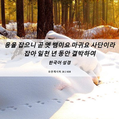 Picture 06 - 요한계시록 20:2 KOR - 용을 잡으니 곧 옛 뱀이요 마귀요 - Bible Verse Picture