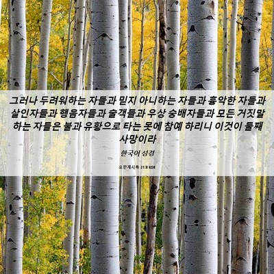 Picture 06 - 요한계시록 21:8 KOR - 그러나 두려워하는 자들과 믿지 - Bible Verse Picture