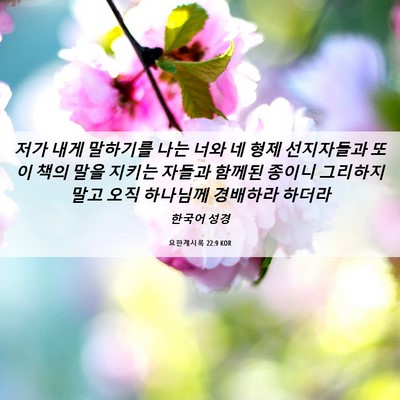 Picture 06 - 요한계시록 22:9 KOR - 저가 내게 말하기를 나는 너와 네 - Bible Verse Picture