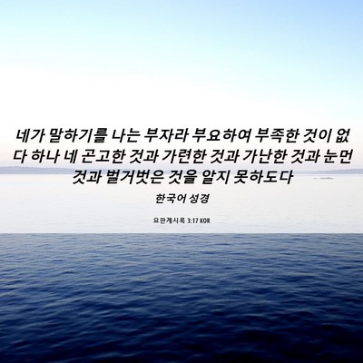 Picture 06 - 요한계시록 3:17 KOR - 네가 말하기를 나는 부자라 부요하여 - Bible Verse Picture
