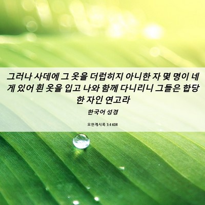 Picture 06 - 요한계시록 3:4 KOR - 그러나 사데에 그 옷을 더럽히지 - Bible Verse Picture