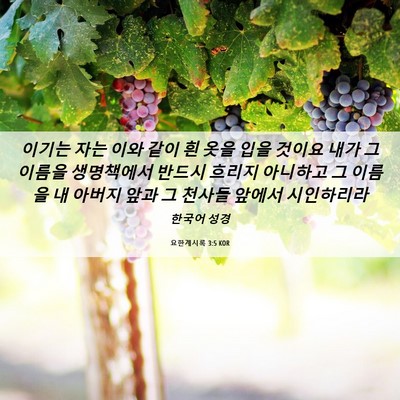 Picture 06 - 요한계시록 3:5 KOR - 이기는 자는 이와 같이 흰 옷을 입을 - Bible Verse Picture