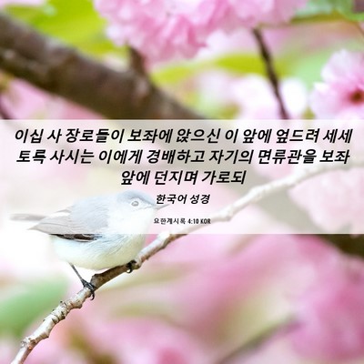 Picture 06 - 요한계시록 4:10 KOR - 이십 사 장로들이 보좌에 앉으신 이 - Bible Verse Picture