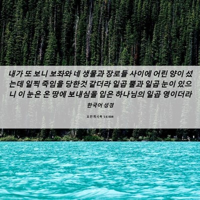 Picture 06 - 요한계시록 5:6 KOR - 내가 또 보니 보좌와 네 생물과 - Bible Verse Picture