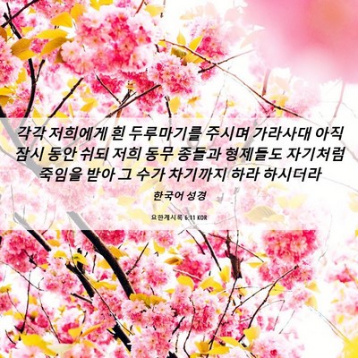 Picture 06 - 요한계시록 6:11 KOR - 각각 저희에게 흰 두루마기를 주시며 - Bible Verse Picture