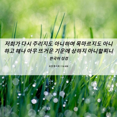 Picture 06 - 요한계시록 7:16 KOR - 저희가 다시 주리지도 아니하며 - Bible Verse Picture