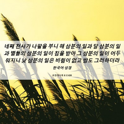 Picture 06 - 요한계시록 8:12 KOR - 네째 천사가 나팔을 부니 해 삼분의 - Bible Verse Picture