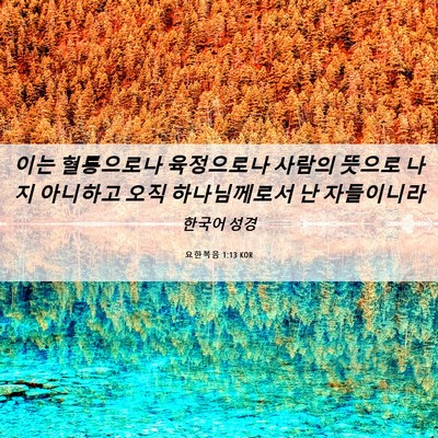 Picture 06 - 요한복음 1:13 KOR - 이는 혈통으로나 육정으로나 사람의 - Bible Verse Picture