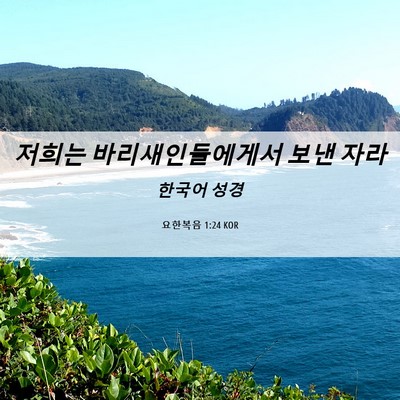 Picture 06 - 요한복음 1:24 KOR - 저희는 바리새인들에게서 보낸 - Bible Verse Picture