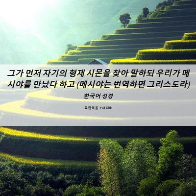 Picture 06 - 요한복음 1:41 KOR - 그가 먼저 자기의 형제 시몬을 찾아 - Bible Verse Picture
