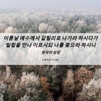 Picture 06 - 요한복음 1:43 KOR - 이튿날 예수께서 갈릴리로 나가려 - Bible Verse Picture