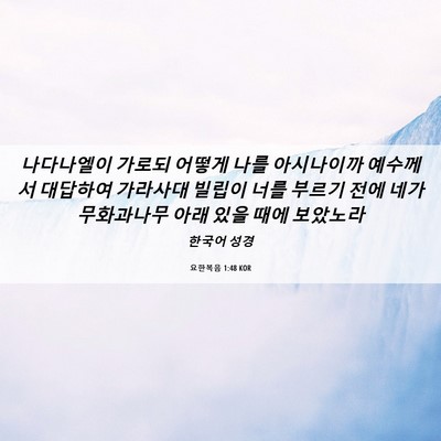 Picture 06 - 요한복음 1:48 KOR - 나다나엘이 가로되 어떻게 나를 - Bible Verse Picture