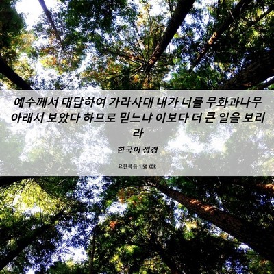 Picture 06 - 요한복음 1:50 KOR - 예수께서 대답하여 가라사대 내가 - Bible Verse Picture