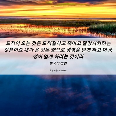 Picture 06 - 요한복음 10:10 KOR - 도적이 오는 것은 도적질하고 죽이고 - Bible Verse Picture