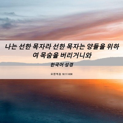 Picture 06 - 요한복음 10:11 KOR - 나는 선한 목자라 선한 목자는 - Bible Verse Picture