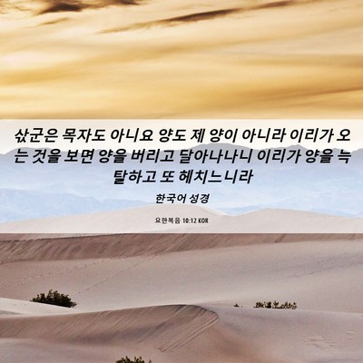 Picture 06 - 요한복음 10:12 KOR - 삯군은 목자도 아니요 양도 제 양이 - Bible Verse Picture
