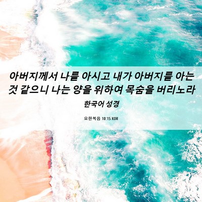 Picture 06 - 요한복음 10:15 KOR - 아버지께서 나를 아시고 내가 - Bible Verse Picture