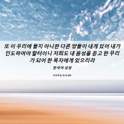Picture 06 - 요한복음 10:16 KOR - 또 이 우리에 들지 아니한 다른 - Bible Verse Picture