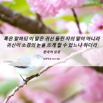 Picture 06 - 요한복음 10:21 KOR - 혹은 말하되 이 말은 귀신 들린 자의 - Bible Verse Picture